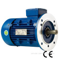 Electric Motor 801-4/0.55kw Asynchronous Motor